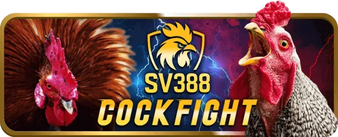 Đội ngũ nhân viên hỗ trợ khách hàng chuyên nghiệp của 566win game đang làm việc
